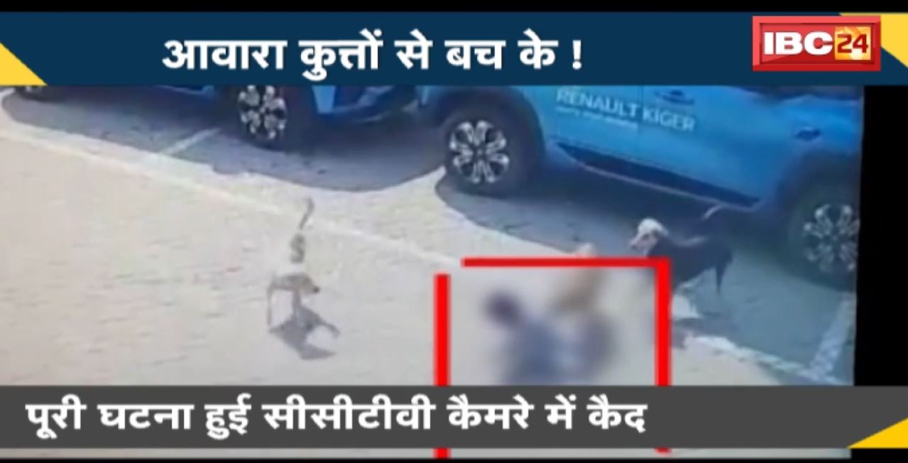 आवारा कुत्तों से बच के! कुत्तों ने ले ली मासूम की जान। पूरी घटना हुई CCTV कैमरे में कैद