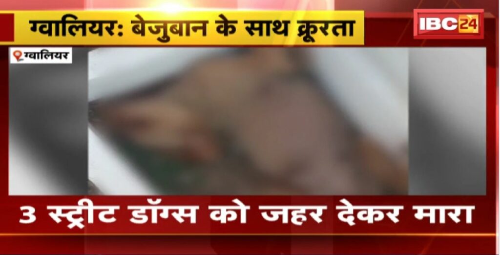 Cruelty to Animal in Gwalior