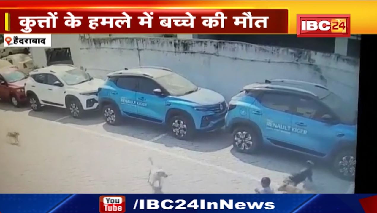 Dog Attack on Child : 5-6 कुत्तों ने मिलकर बच्चे को नोंचा। कुत्तों के हमले से मासूम की मौत