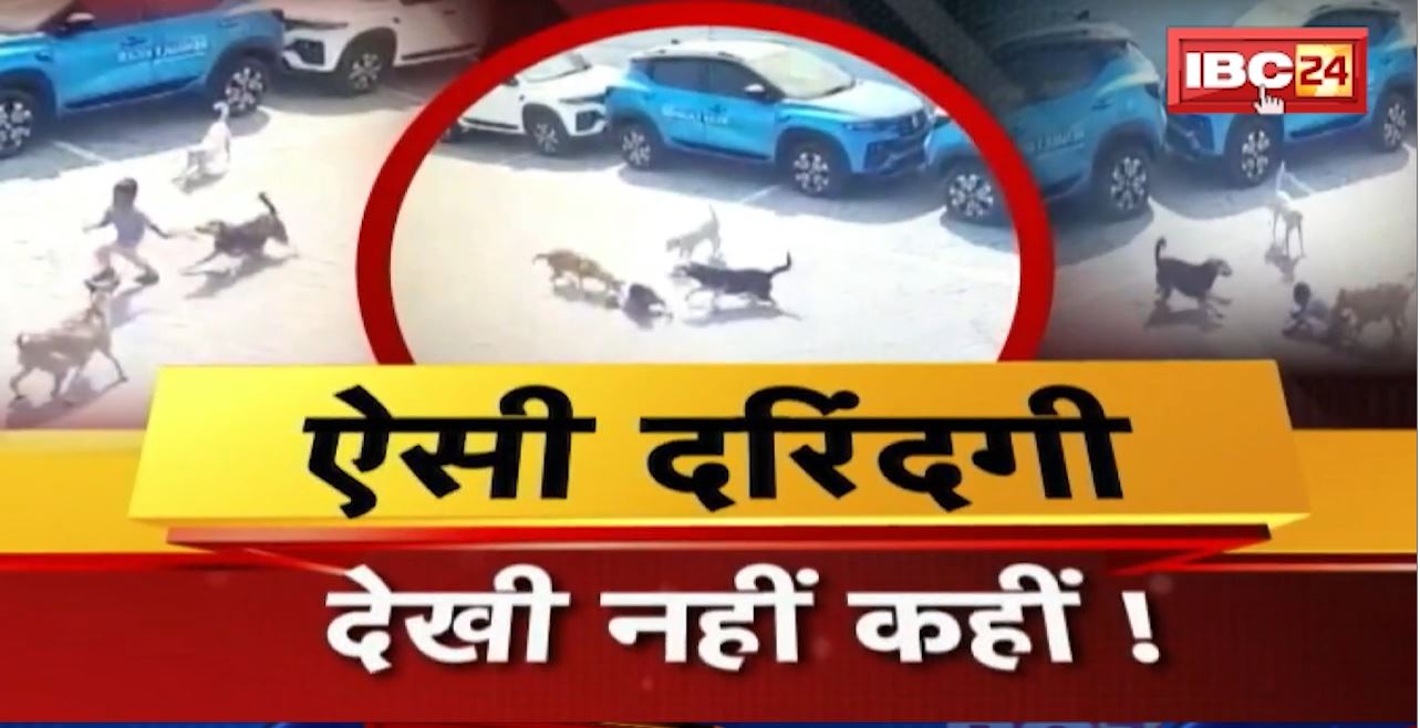 Dog Attack on Child : ऐसी दरिंदगी देखी नहीं कहीं! 5-6 कुत्तों ने किया बच्चे पर हमला। कुत्तों के हमले से मासूम की मौत