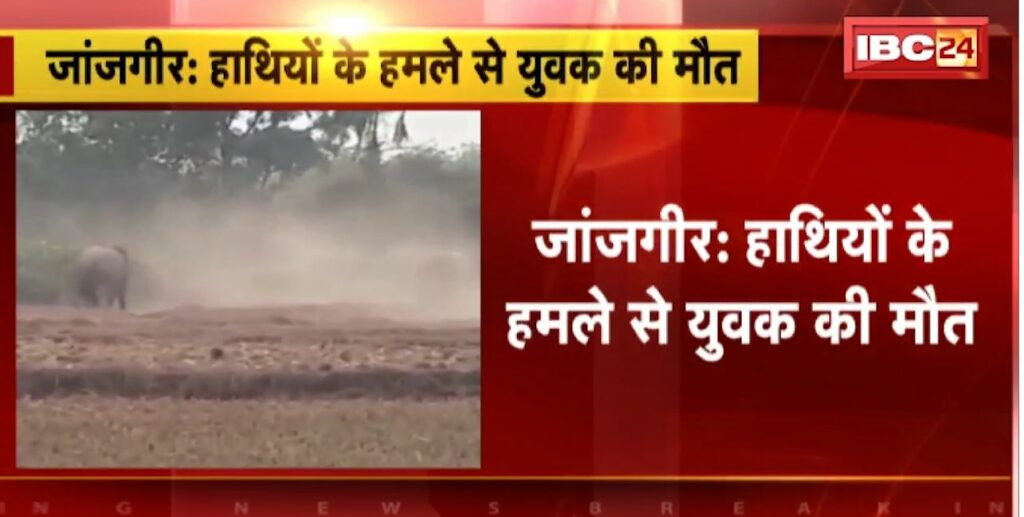 Janjgir Elephant Attack