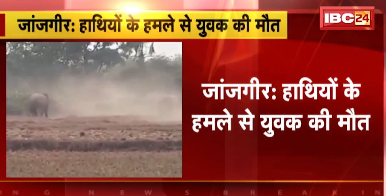 Janjgir Elephant Attack : हाथियों के हमले से युवक की मौत। इलाके में 10 से ज्यादा हाथियों का डेरा