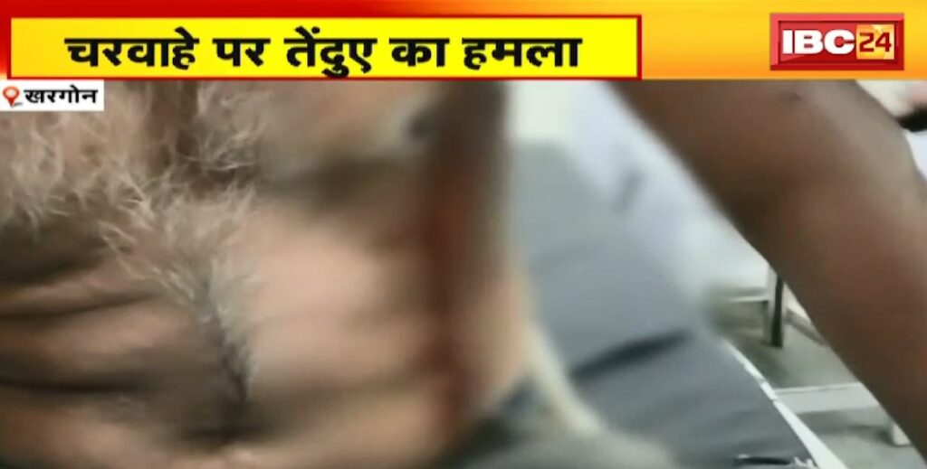 Leopard Attack in Khargone