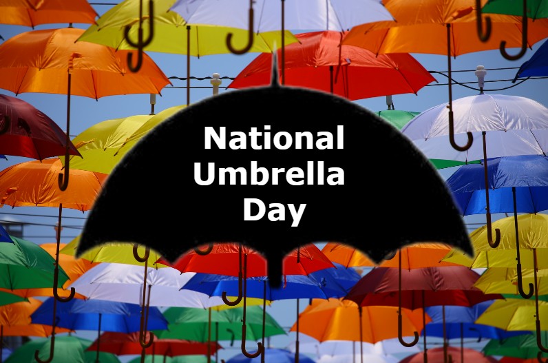 देशभर में 10 फरवरी को मनाया जाता है राष्ट्रीय छाता दिवस, जानें Umbrella के बारे में कुछ रोचक बातें