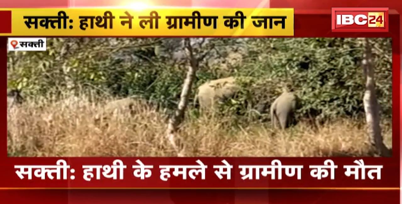 Shakti Elephant Attack : हाथी के हमले से ग्रामीण की मौत। खेत में काम करने गया था ग्रामीण