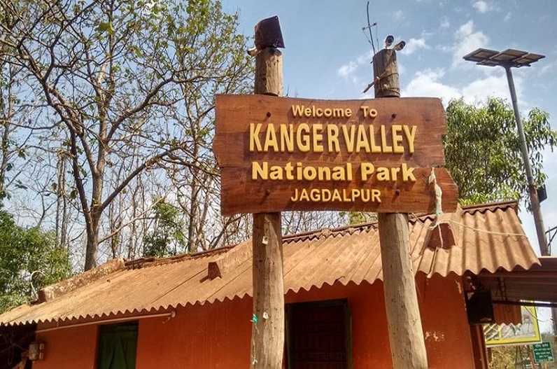 Jagdalpur news: अब केरल जाने की जरूरत नहीं, कांगेर वैली नेशनल पार्क में ही पर्यटकों को मिलेगा ये नया रोमांच