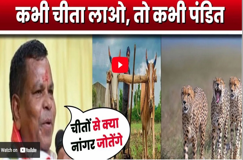 ‘ये चीते क्या नांगर जोतेंगे’? MP में चीता लाने पर मंत्री लखमा का बड़ा बयान