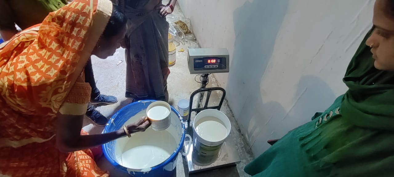 प्रदेश सरकार की यह योजना, स्व सहायता समूह की महिलाओं के लिए बना वरदान….