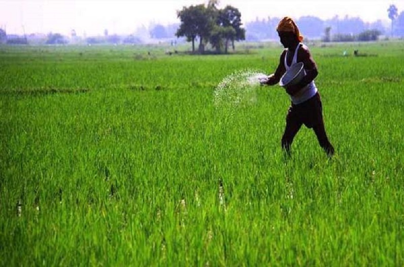 MP News: इन फसलों की समर्थन मूल्य पर शुरू हुआ खरीदी पंजीयन, इस तारीख तक रजिस्ट्रेशन करा सकेंगे किसान