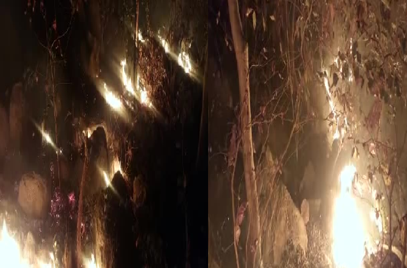 Bhanupratappur News: वन विभाग की बड़ी लापरवाही, जलता रहा जंगल और अपने में मौज करते रहे अधिकारी