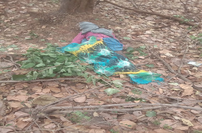 Kawardha news: मवेशी चराने गए चरवाहे की दर्दनाक मौत, वजह जानकर दंग रह जाएंगे आप