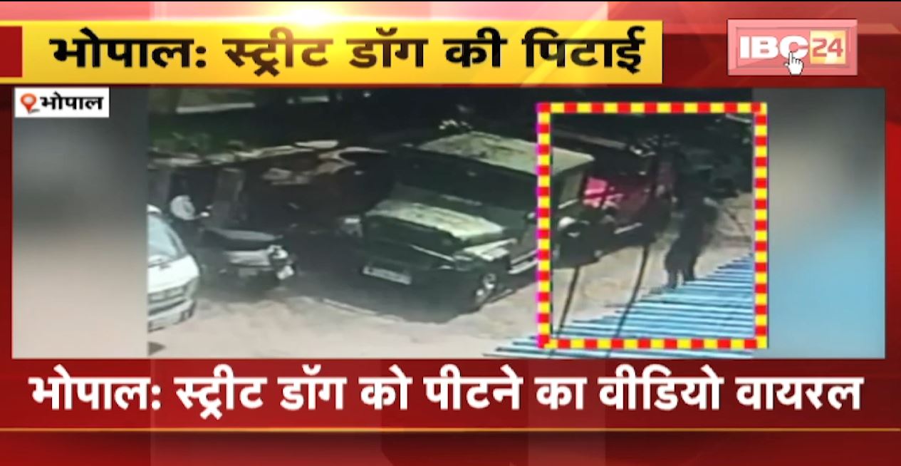 राजधानी में 2 युवकों ने डंडे से की स्ट्रीट डॉग की पिटाई। स्ट्रीट डॉग की पिटाई का वीडियो वायरल। देखिए..