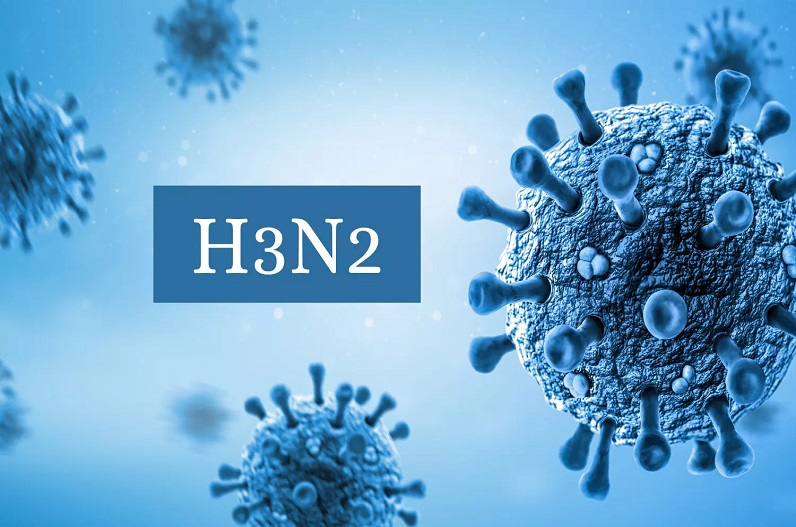 First case of influenza H3N2 in MP
