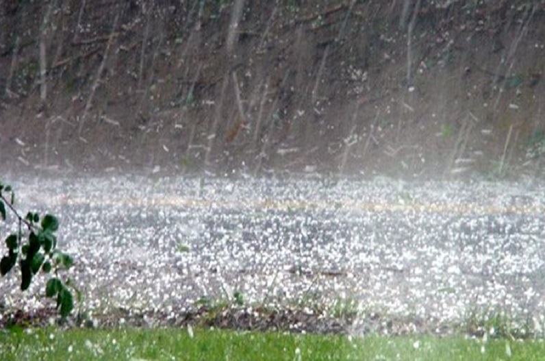 गुजरात के सभी जिलों में बारिश का कहर! अगले 5 दिनों तक भारी बारिश की आशंका, मौसम विभाग ने किया अलर्ट