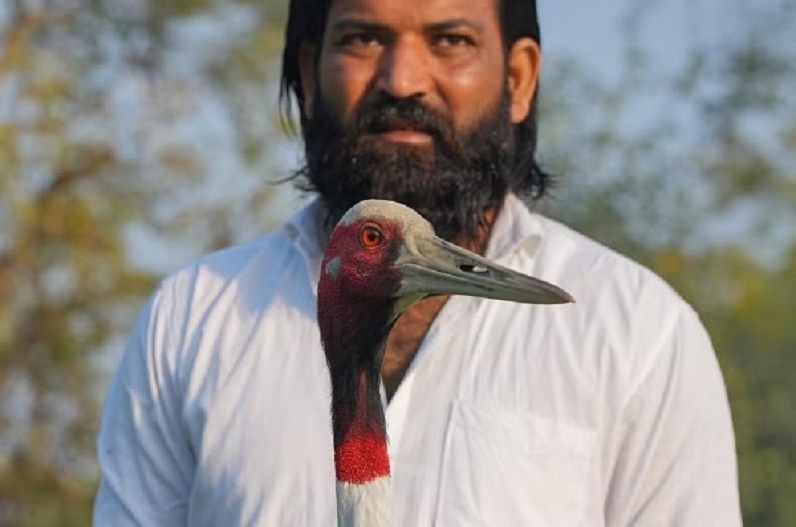 Arif and Stork Friendship