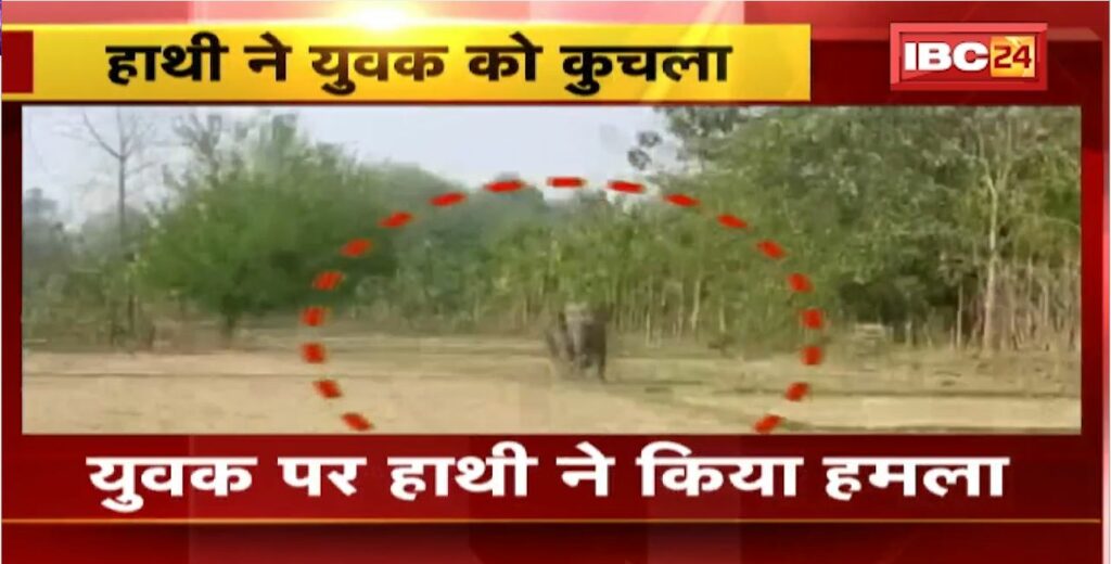 Assam Elephant Attack