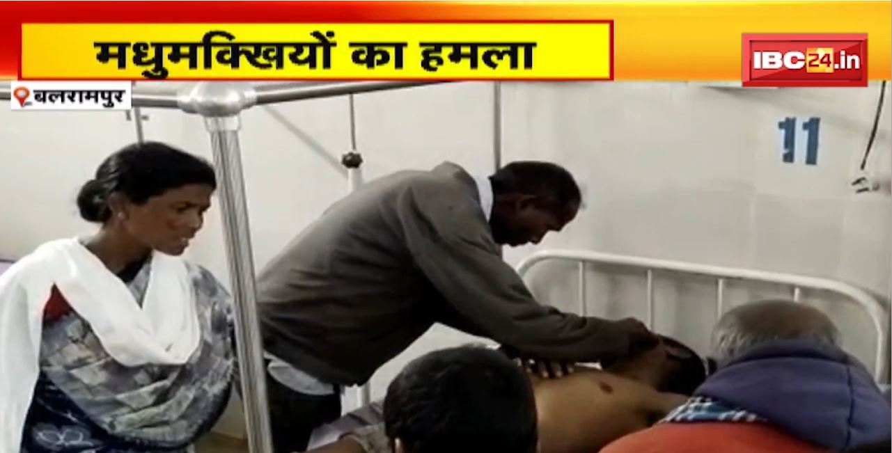 Bee Attack in Balrampur : 13 लोग घायल। घायलों का इलाज जारी