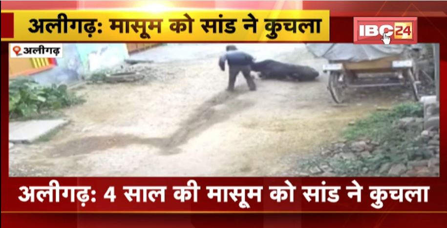 4 साल की मासूम बच्ची को सांड ने कुचला। घर के बाहर खेल रही थी बच्ची। देखिए CCTV कैद हुआ वीडियो..