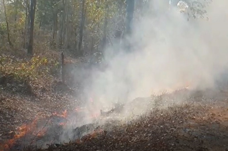 Chhattisgarh ranks third in the country in terms of forest fire