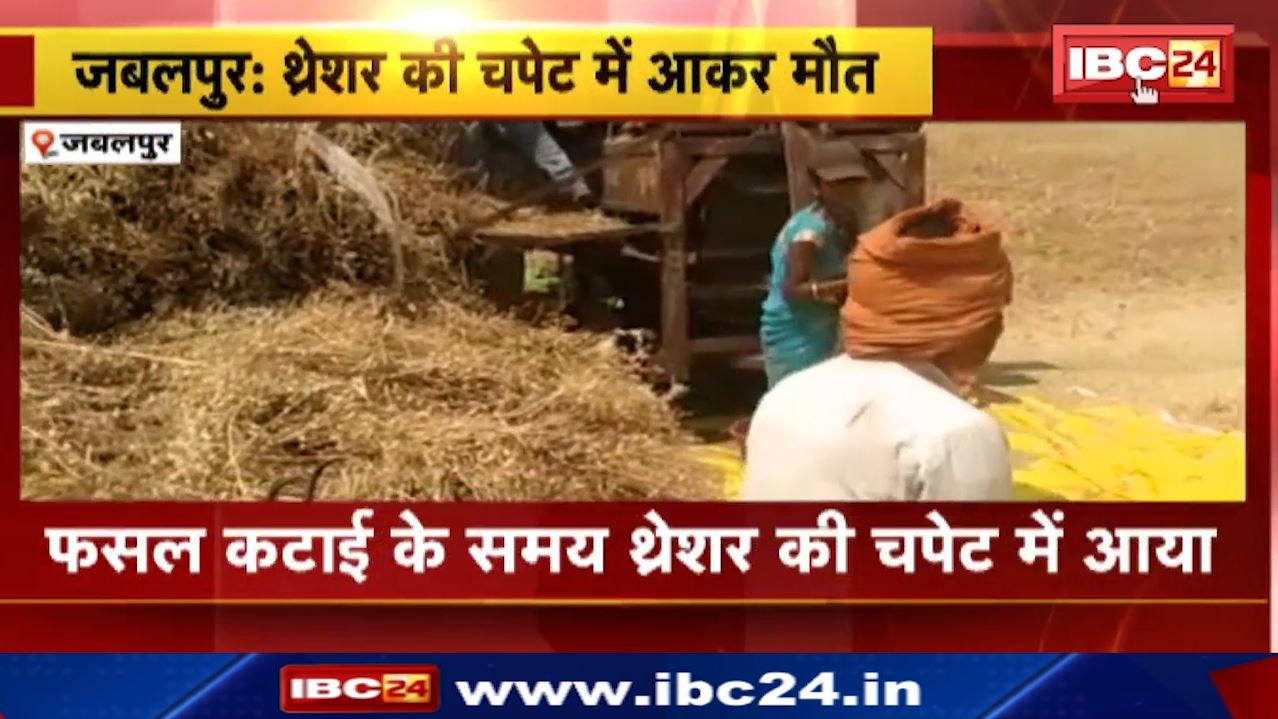 Jabalpur News : खेत में चने की फसल की कटाई के समय हादसा | थ्रेशर की चपेट में आने से मौत