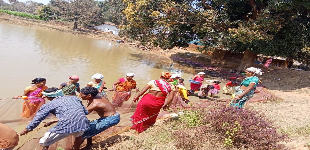 बिहान योजना से महिलाएं हुई आर्थिक रूप से सशक्त, आयमूलक गतिविधियों से कमा रही हजारों का मुनाफा….