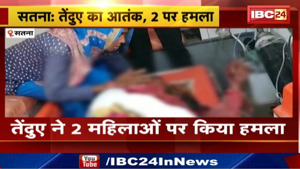 Leopard Attack in Satna