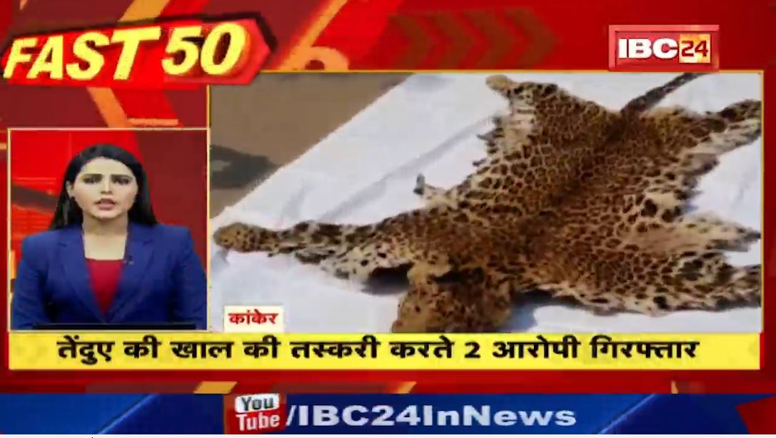 तेंदुए की खाल की तस्करी करते 2 आरोपी गिरफ्तार। MP CG Latest News | Fast50 | 20 Minute 100 News