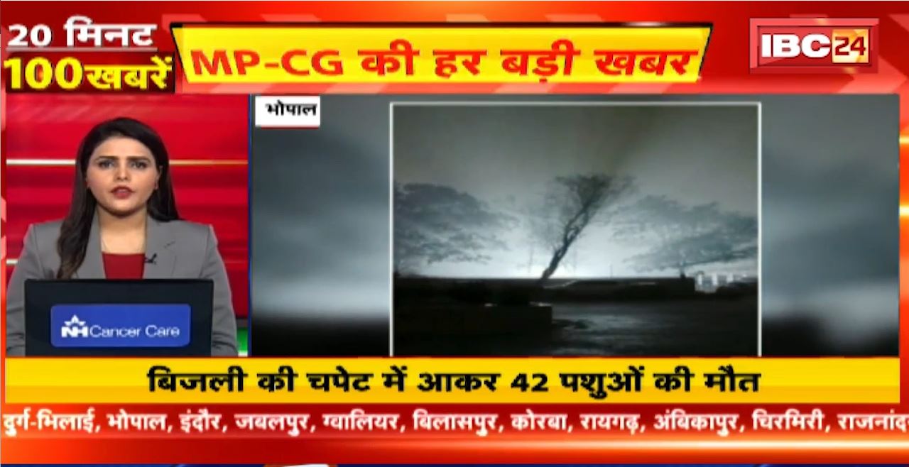 बिजली की चपेट में आकर 42 पशुओं की मौत। 20 Minute 100 News | MP-CG Latest News