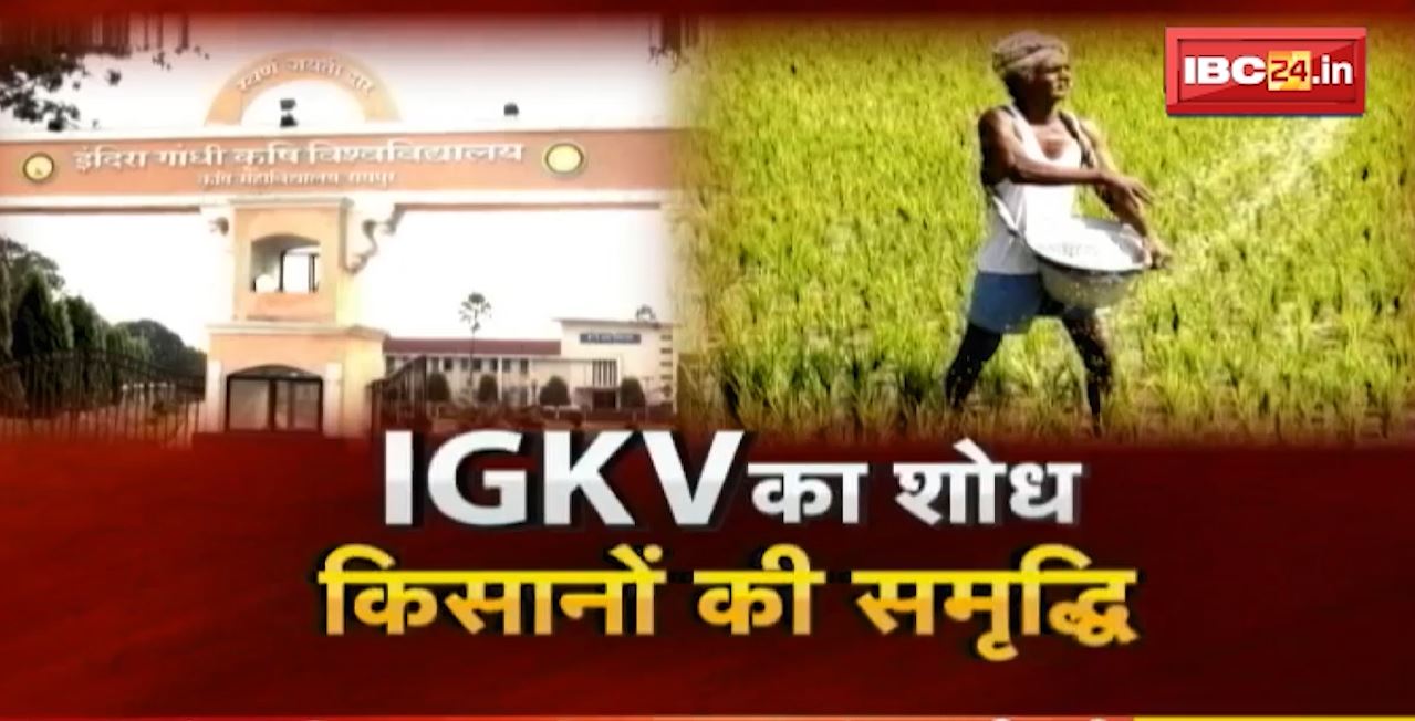 Indira Gandhi Krishi Vishwavidyalaya का शोध..किसानों की समृद्धि। IGKV में धान का संरक्षण, 29000 प्रजाति के बीज सुरक्षित
