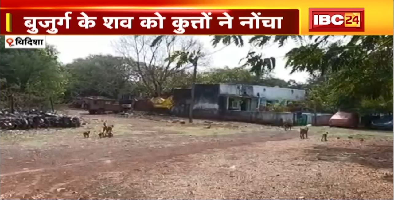 Vidisha News : बुजुर्ग के शव को कुत्तों ने नोंचा। गौशाला से बास आने पर लोगों को पता चला