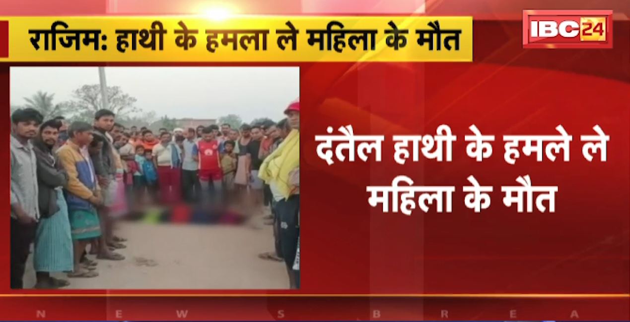राजिम में हाथियों का आतंक। दंतेल हाथी के हमले से महिला की मौत। फिंगेश्वर क्षेत्र के बोरिद गांव की घटना