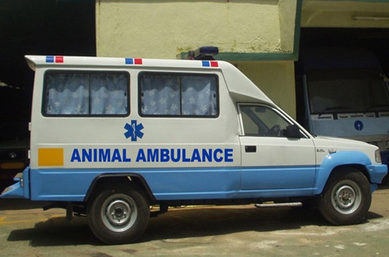 Ambulance service for animals and birds will start in MP