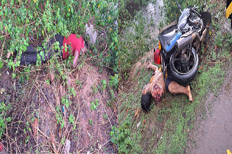 Two youths died due to high speed bike and pickup collision