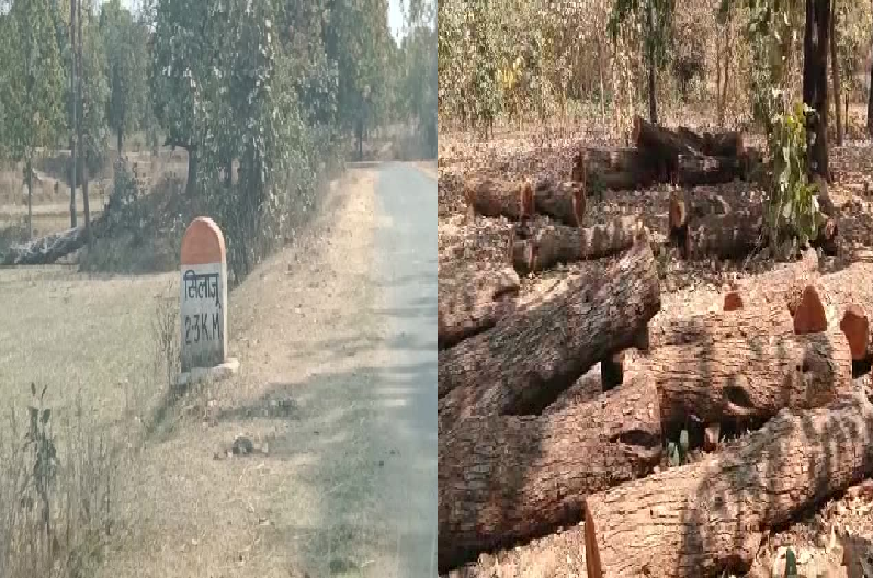 Balrampur News: वन विभाग की अनुमति के बिना ही हो रहे ऐसे काम, अधिकारियों को भनक भी नहीं, उठ रहे कई सवाल