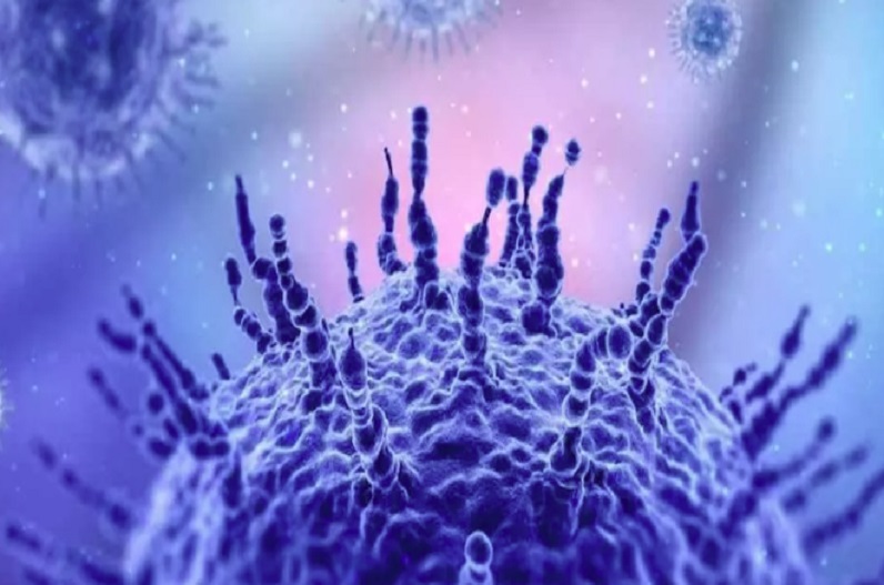 इस राज्य में मिले एच3एन2 इन्फ्लूएंजा के दो मरीज, अतिरिक्त मुख्य स्वास्थ्य सचिव ने दी जानकारी…