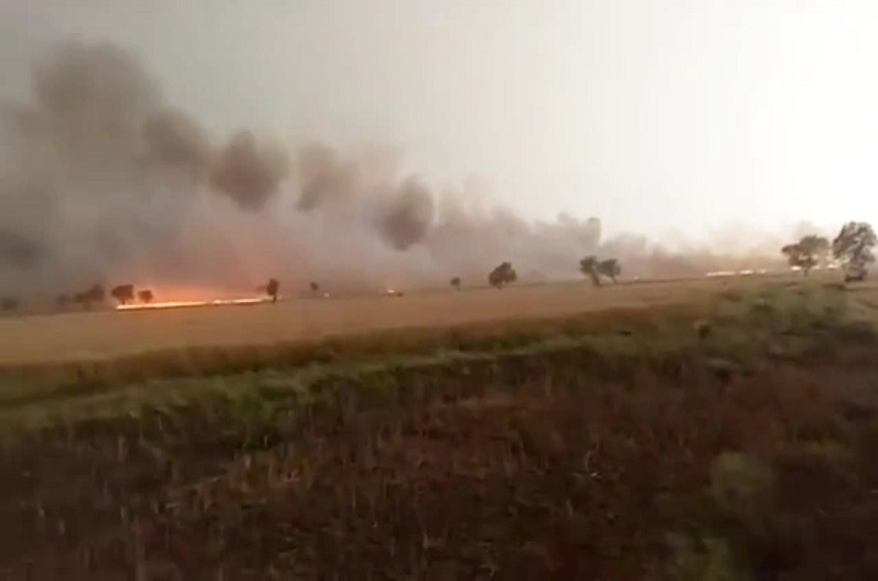 The wheat crop of more than 100 bighas of 20 farmers burnt to ashes due to lightning