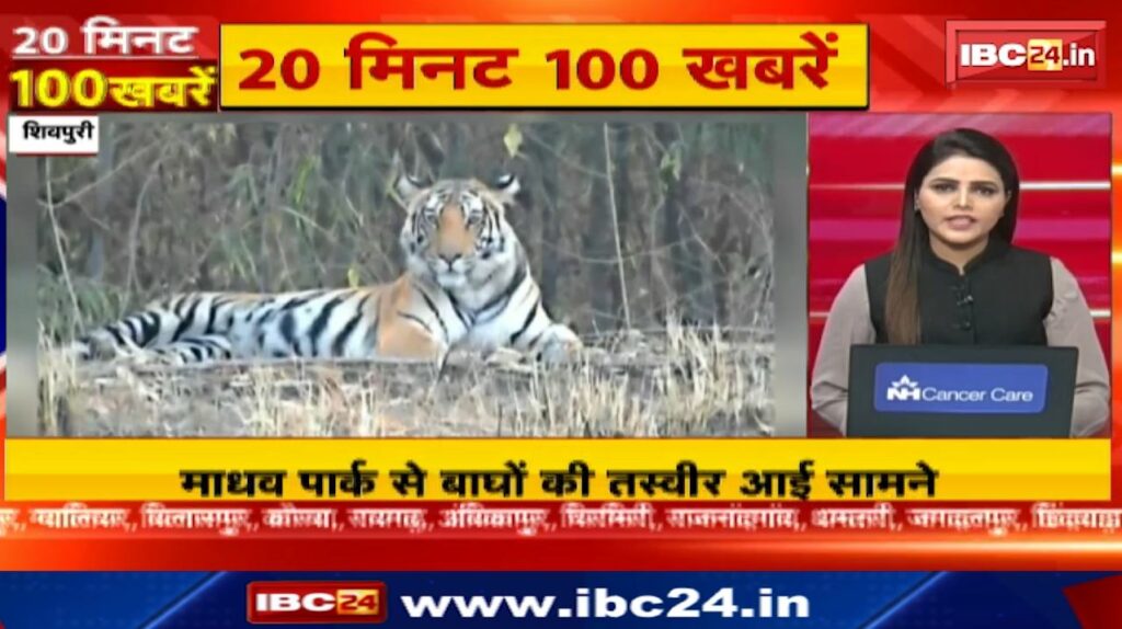 20 मिनट 100 खबरें। Chhattisgarh-Madhya Pradesh Non Stop