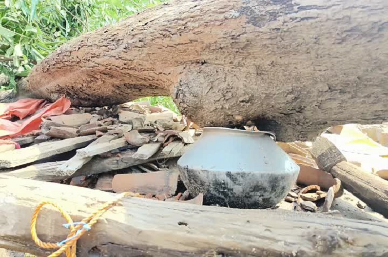 Parents died after being buried under a tree due to strong storm