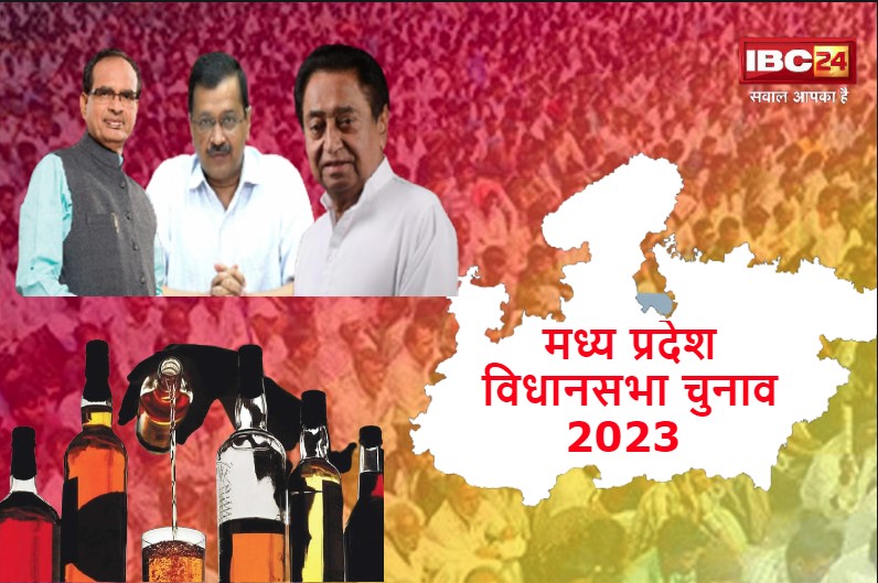 AAP in MP vidhansabha election 2023