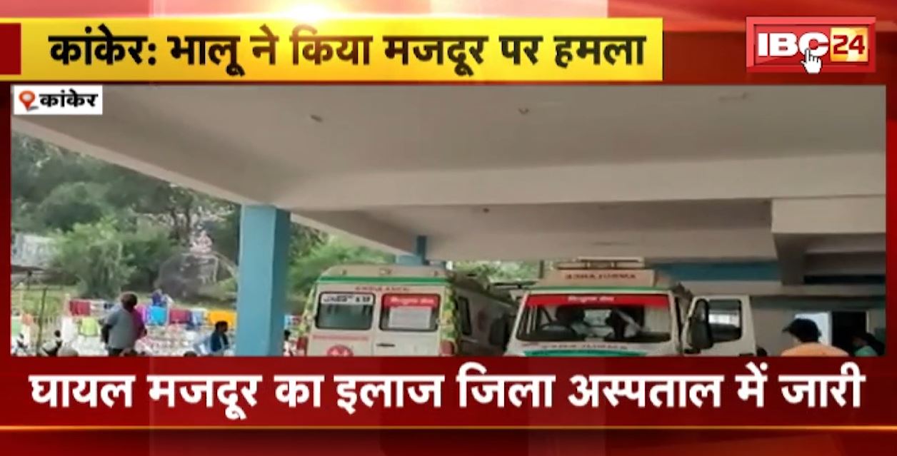 कांकेर में भालू ने किया मजदूर पर हमला। भालू के हमले से मजदूर गंभीर रुप से घायल। देखिए..