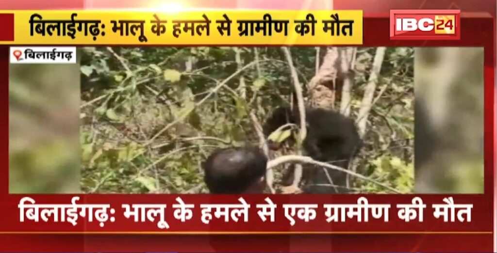 Bilaigarh Bear Attack