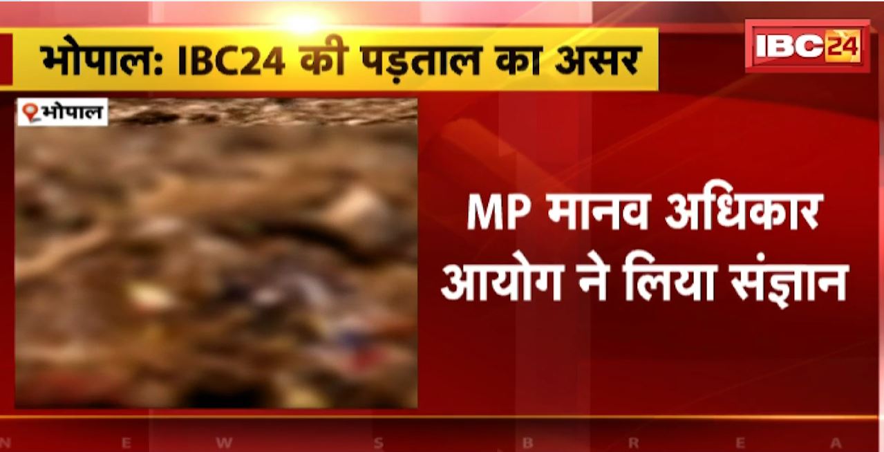 Bhopal : आदमपुर खंती में गायों को फेकने पर मानव अधिकार आयोग ने लिया संज्ञान। BMC को जारी किया नोटिस