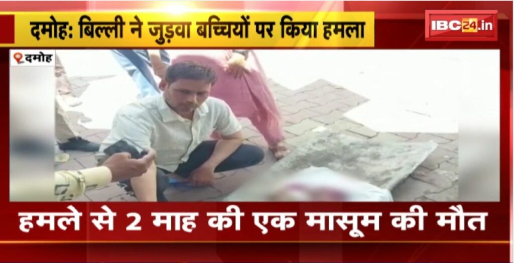 Cat attacked twin girls in Damoh