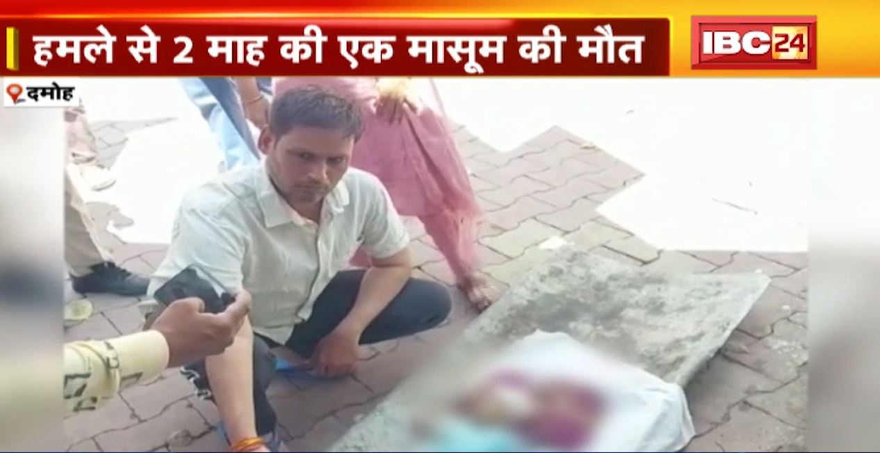 बिल्ली ने जुड़वा बच्चियों पर किया हमला। बिल्ली के हमले में 1 बच्ची की मौत