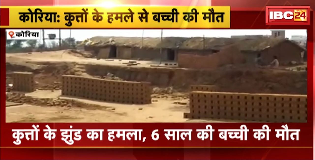 Dog Attack in Korea : कुतों के झुंड का हमला, 6 साल की बच्ची की मौत। ठेले पर सामान लेने गई थी बच्ची