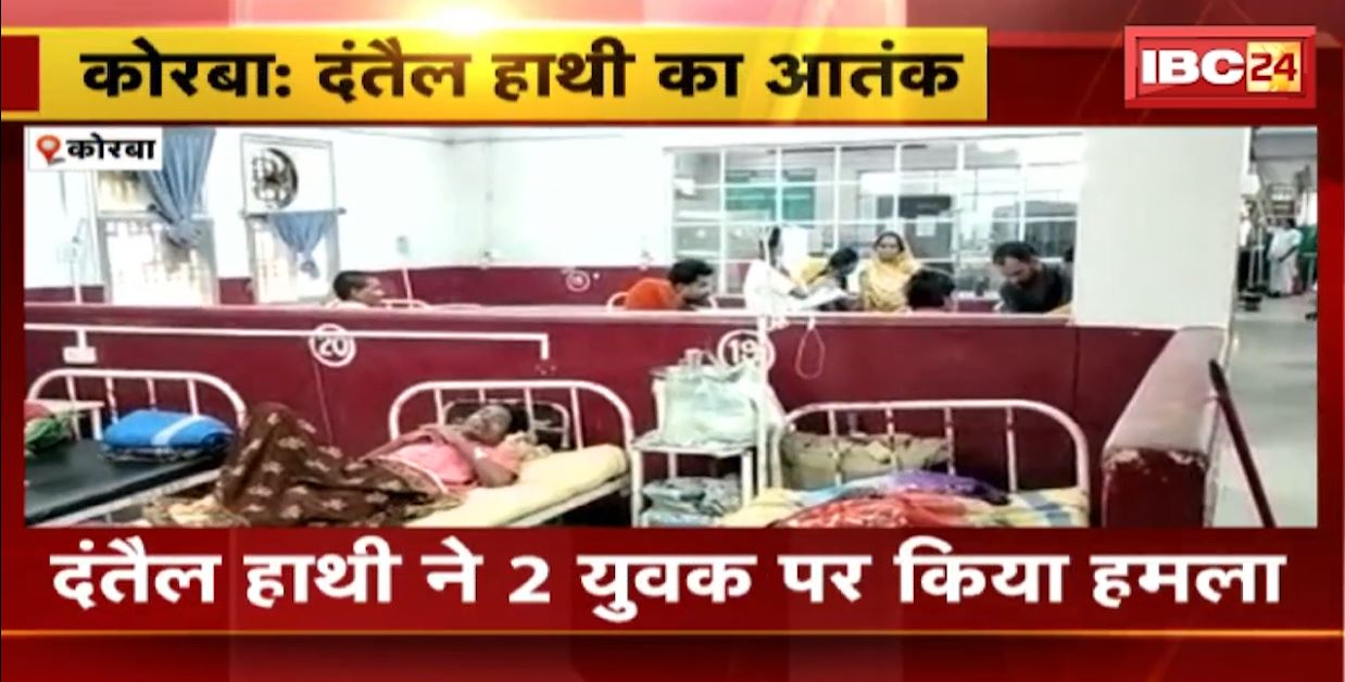 कोरबा में दंतैल हाथी का आतंक। खेत से घर लौट रहे 2 युवकों को हाथी ने कुचला। देखिए..