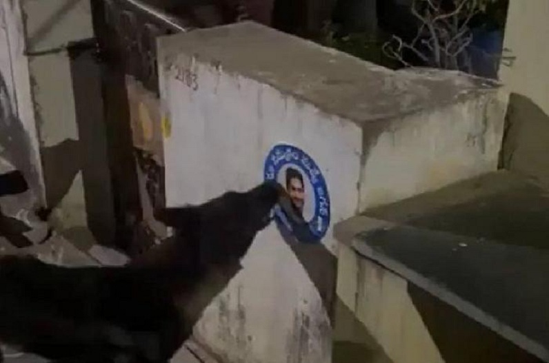 FIR Against dog in andhra