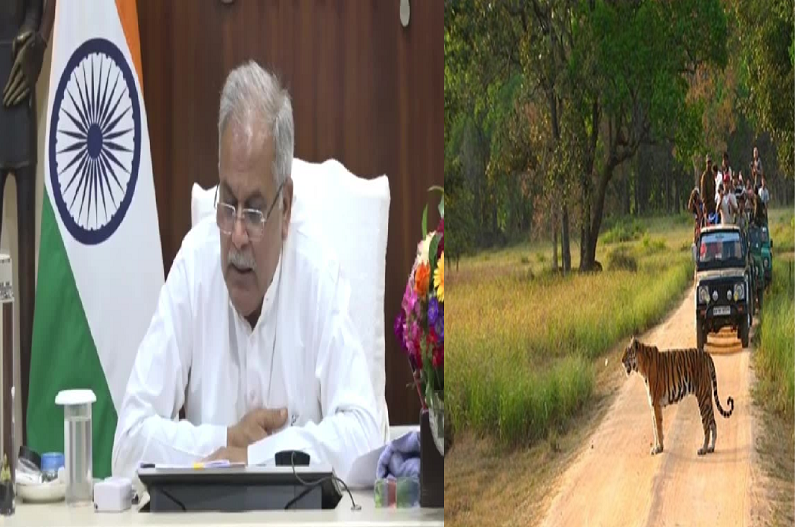Manjhingarh Jungle Safari: छत्तीसगढ़ को मिलेगा एक और जंगल सफारी, सीएम भूपेश बघेल की बड़ी घोषणा