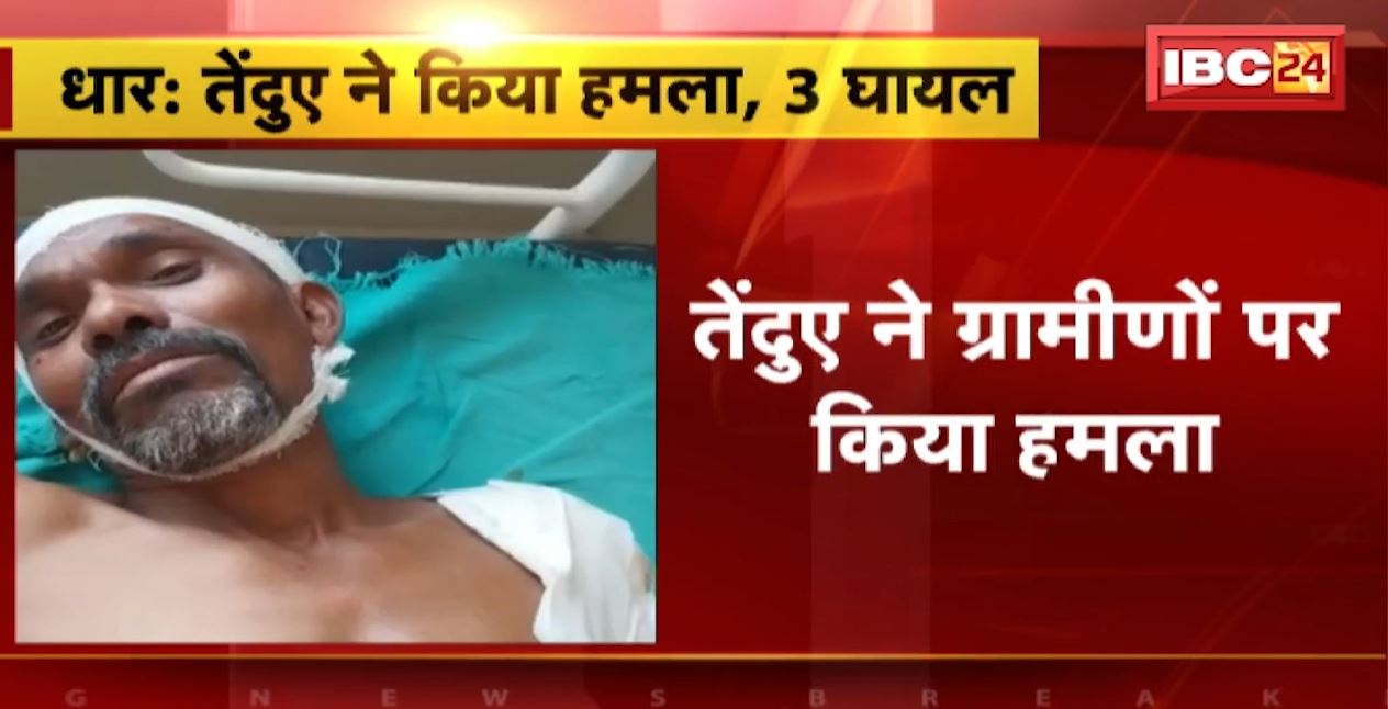 धार में तेंदुए ने ग्रामीणों पर किया हमला। हमले में 3 ग्रामीण घायल, वन विभाग की टीम मौके पर मौजूद। देखिए…