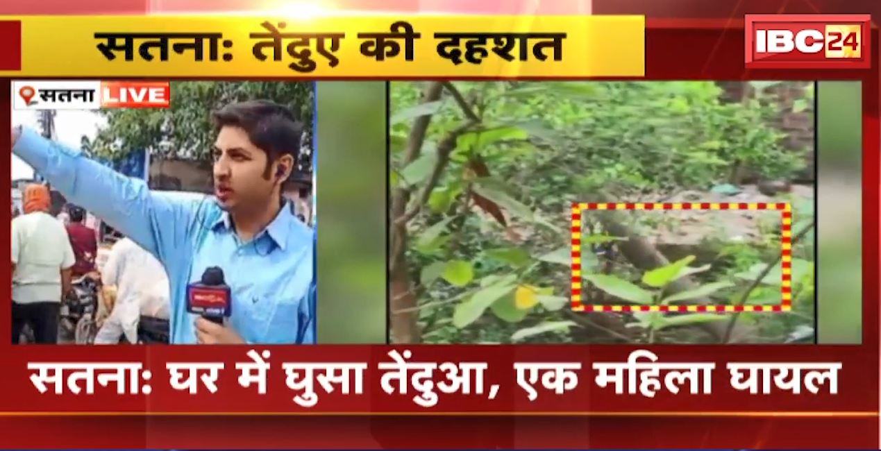 सतना में मुख्तियारगंज में घर में घुसा तेंदुआ, महिला पर किया हमला। वन अमले ने सभी सड़कों को किया सील